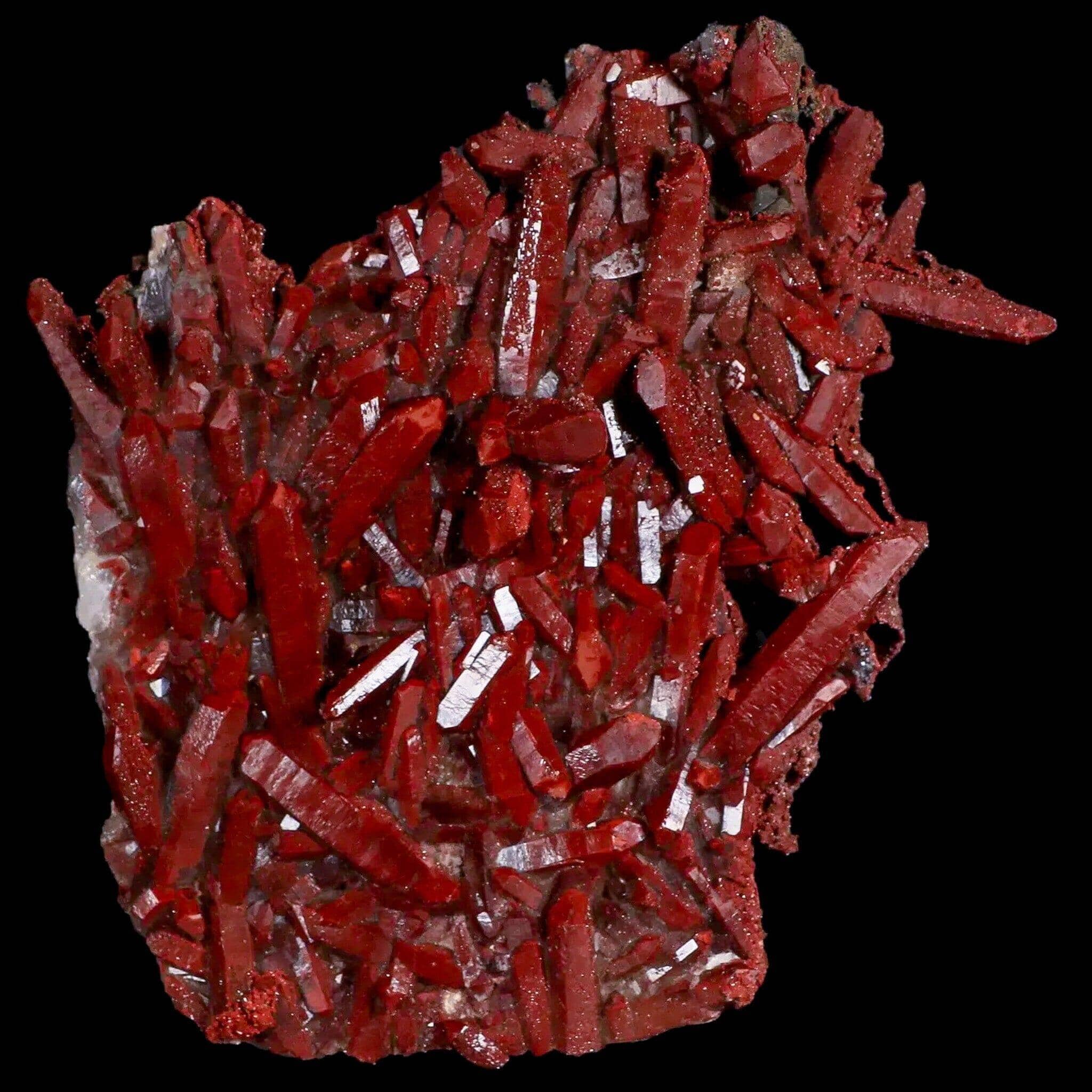 Shop Our Mineral Collections
