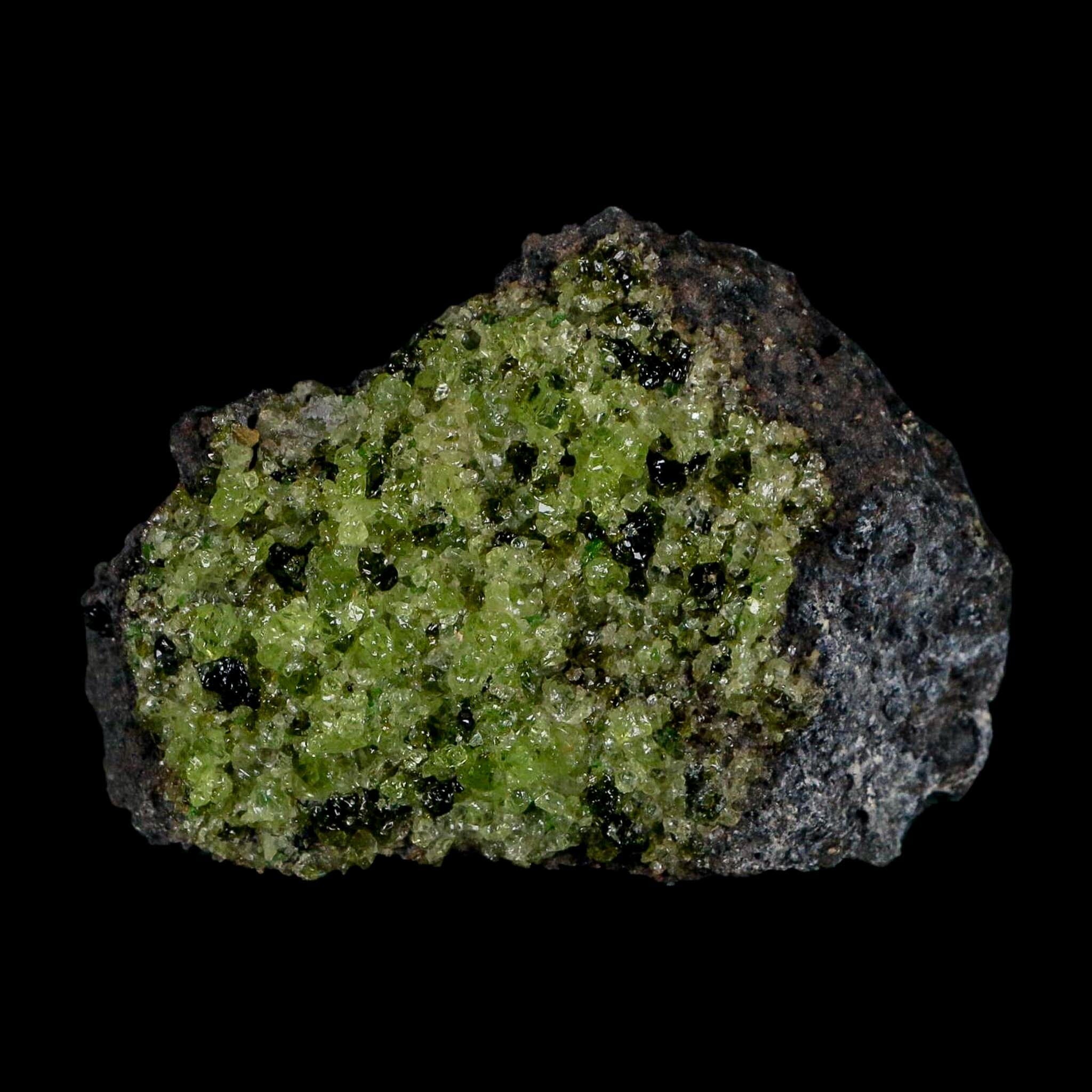 2.6" Emerald Peridot Crystals, Chrome Diopside And Spinel On Volcanic Rock Gila, AZ - Fossil Age Minerals