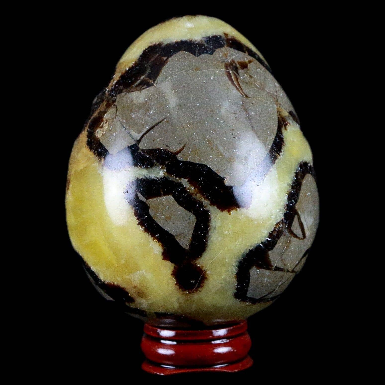 Septarian Dragon Stone Vug Sphere Mineral Healing Madagascar Stand-Fossil Age Minerals