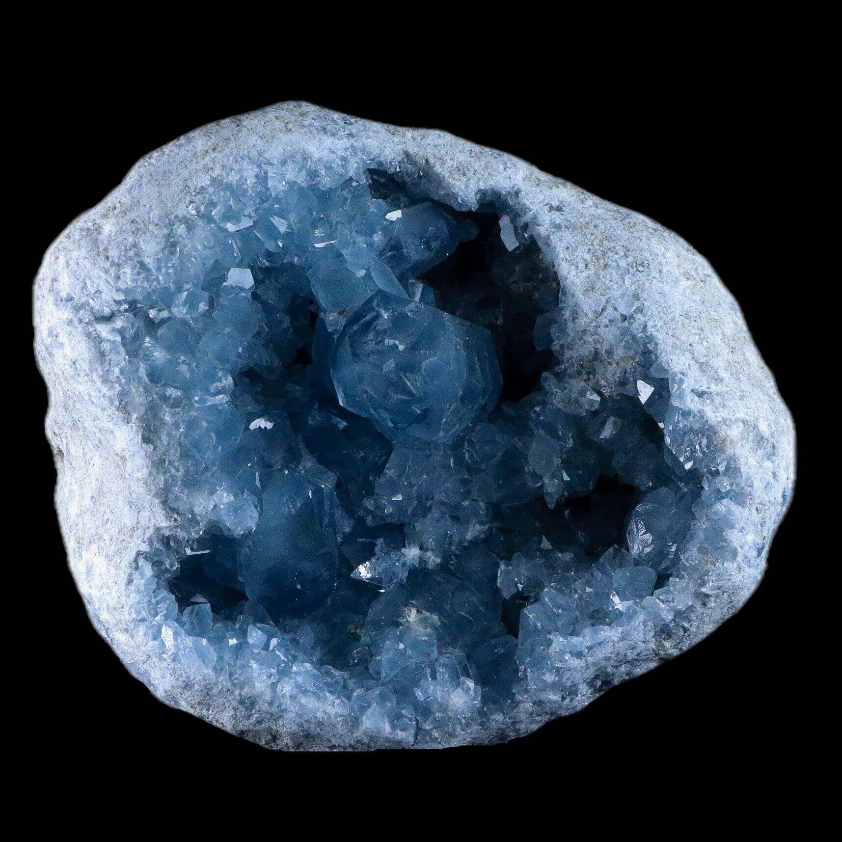 Sky Blue Rough Celestite Crystal Druzy Cluster Geode Celestine - Fossil Age Minerals