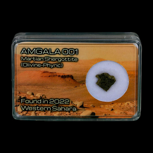 Mars Rock Martian Meteorite Amgala 001 Shergottite Olivine-Phyric Display