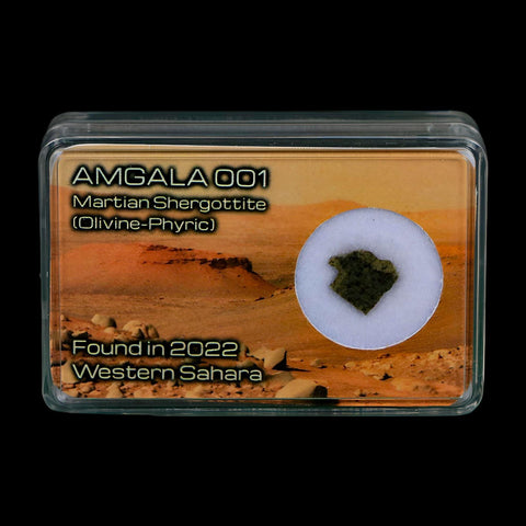 Mars Rock Martian Meteorite Amgala 001 Shergottite Olivine-Phyric Display - Fossil Age Minerals
