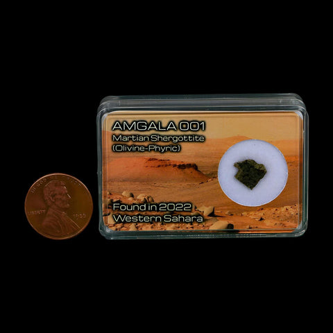 Mars Rock Martian Meteorite Amgala 001 Shergottite Olivine-Phyric Display - Fossil Age Minerals