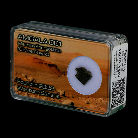 Mars Rock Martian Meteorite Amgala 001 Shergottite Olivine-Phyric Display - Fossil Age Minerals