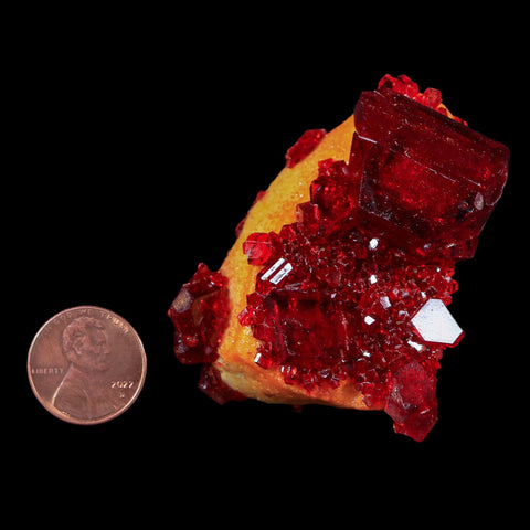 2.2" Stunning Red Pruskite Yellow Base Crystal Mineral Specimen From Poland - Fossil Age Minerals