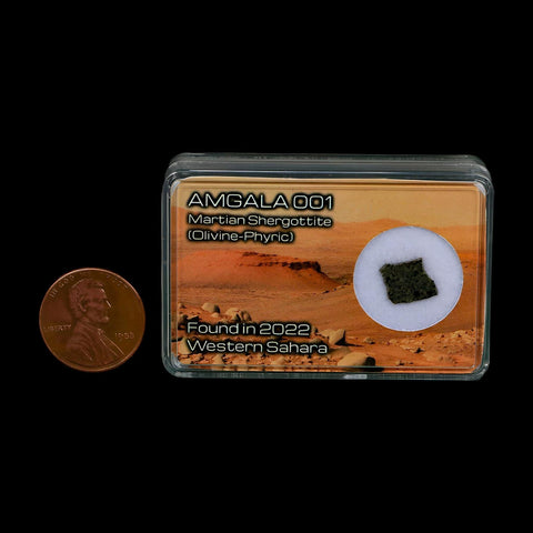 Mars Rock Martian Meteorite Amgala 001 Shergottite Olivine-Phyric Display - Fossil Age Minerals