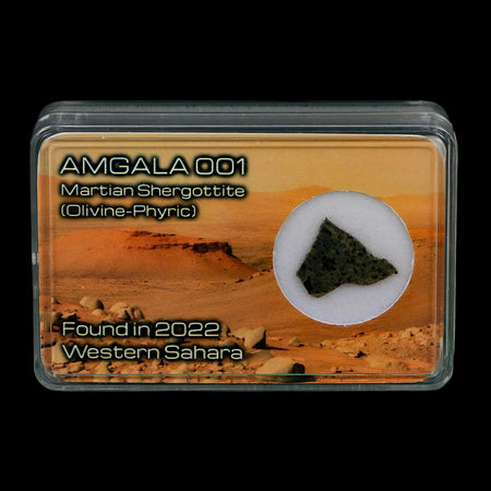 Mars Rock Martian Meteorite Amgala 001 Shergottite Olivine-Phyric Display