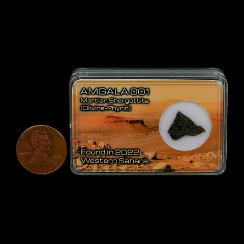 Mars Rock Martian Meteorite Amgala 001 Shergottite Olivine-Phyric Display - Fossil Age Minerals