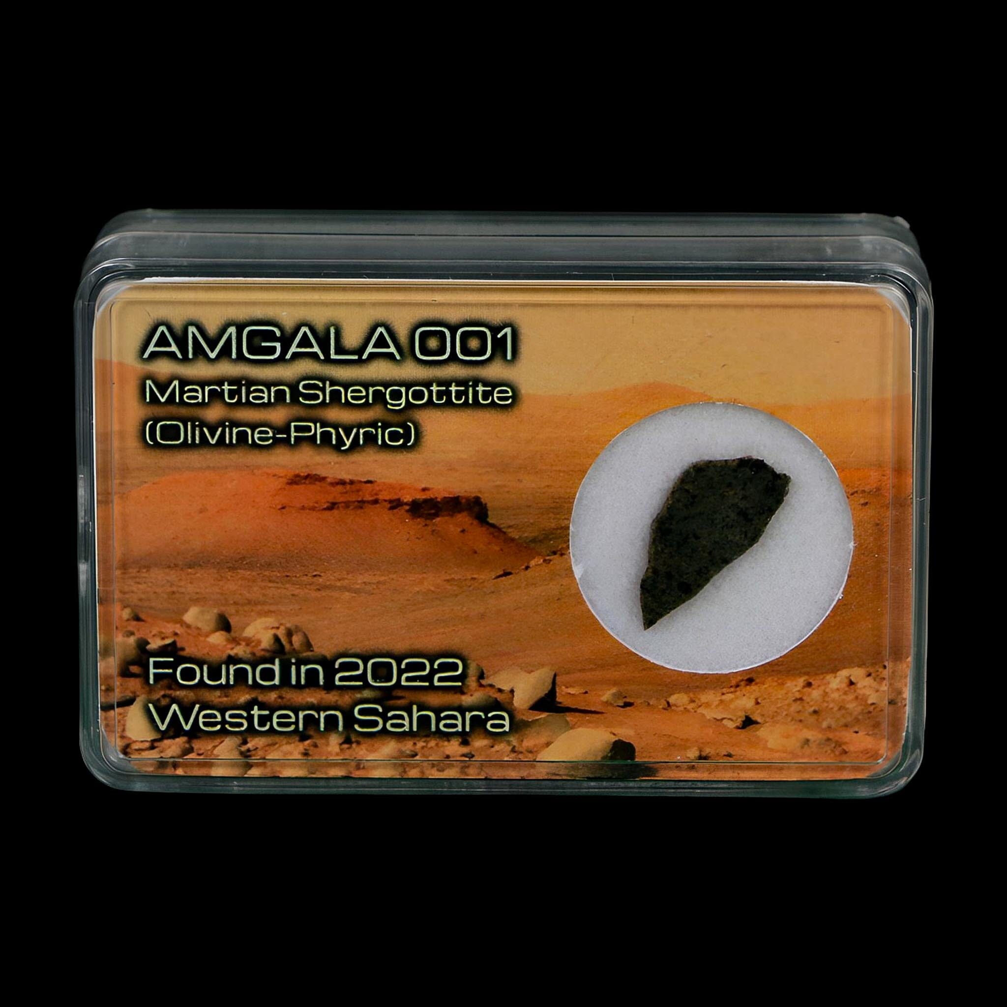 Mars Rock Martian Meteorite Amgala 001 Shergottite Olivine-Phyric Display - Fossil Age Minerals