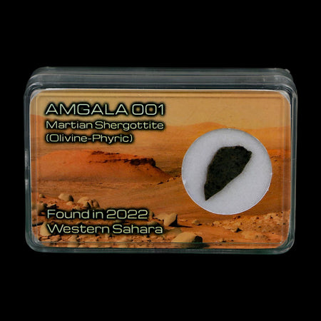 Mars Rock Martian Meteorite Amgala 001 Shergottite Olivine-Phyric Display