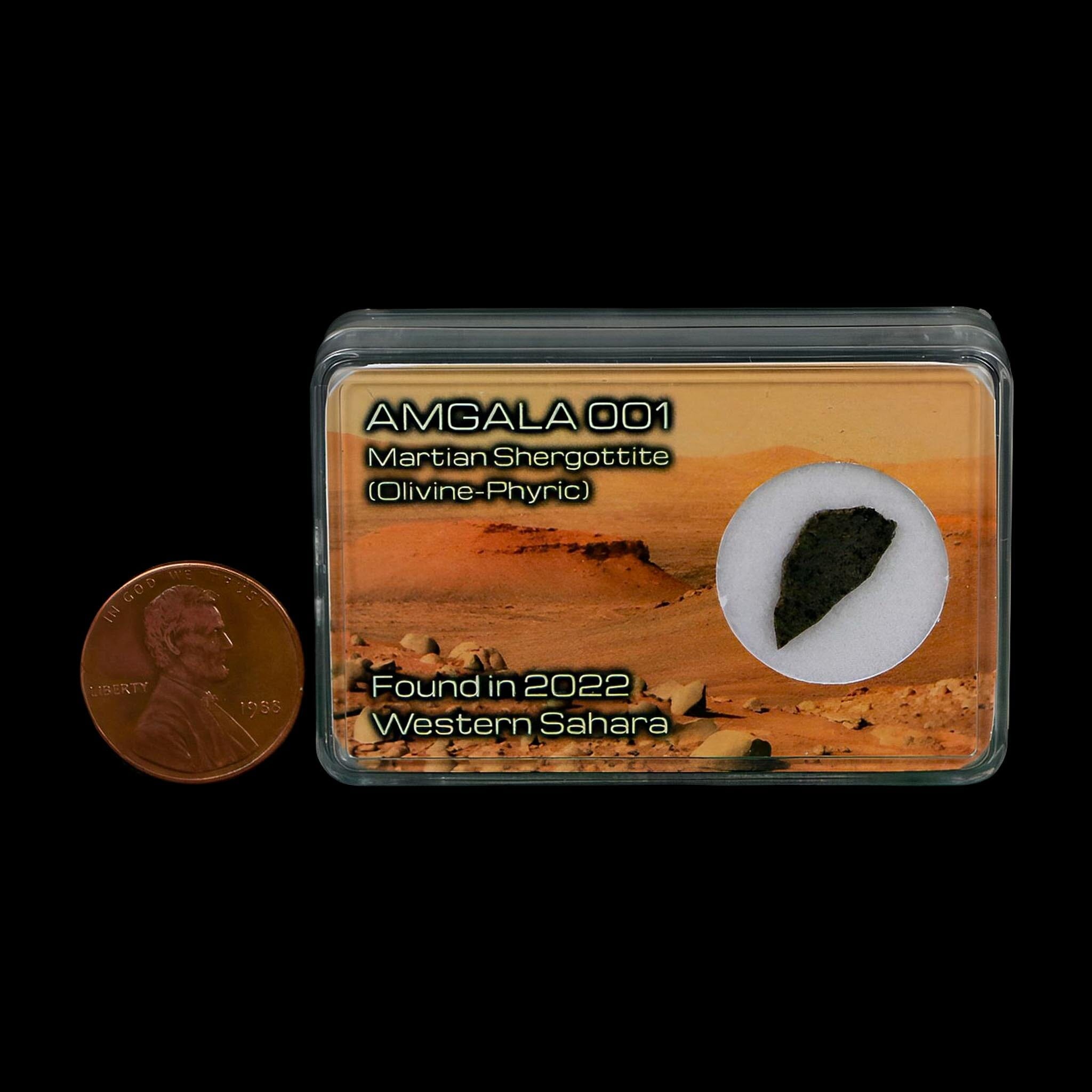 Mars Rock Martian Meteorite Amgala 001 Shergottite Olivine-Phyric Display - Fossil Age Minerals