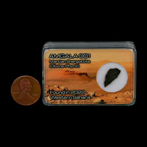 Mars Rock Martian Meteorite Amgala 001 Shergottite Olivine-Phyric Display - Fossil Age Minerals