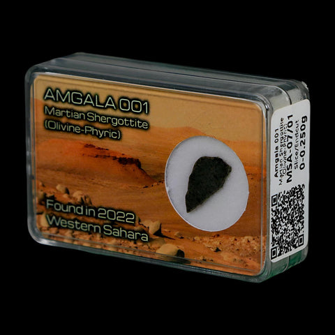 Mars Rock Martian Meteorite Amgala 001 Shergottite Olivine-Phyric Display - Fossil Age Minerals