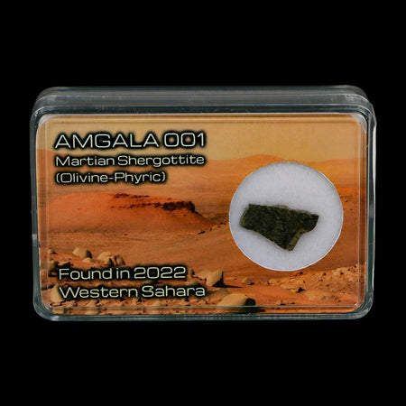 Mars Rock Martian Meteorite Amgala 001 Shergottite Olivine-Phyric Display