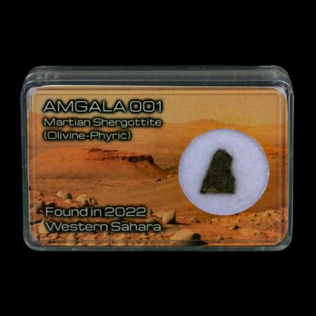 Mars Rock Martian Meteorite Amgala 001 Shergottite Olivine-Phyric Display