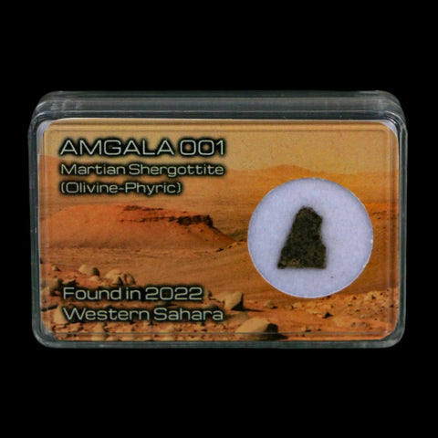 Mars Rock Martian Meteorite Amgala 001 Shergottite Olivine-Phyric Display - Fossil Age Minerals