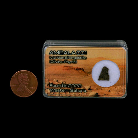 Mars Rock Martian Meteorite Amgala 001 Shergottite Olivine-Phyric Display - Fossil Age Minerals