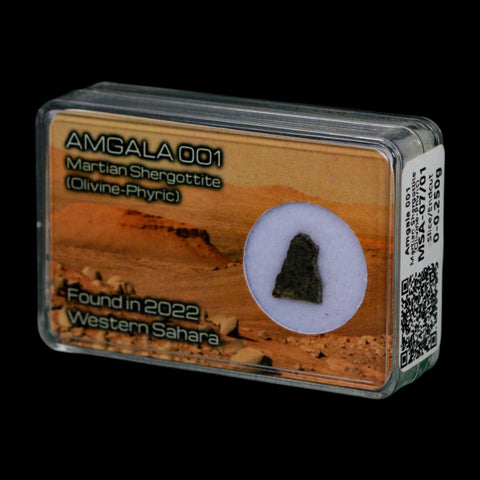 Mars Rock Martian Meteorite Amgala 001 Shergottite Olivine-Phyric Display - Fossil Age Minerals