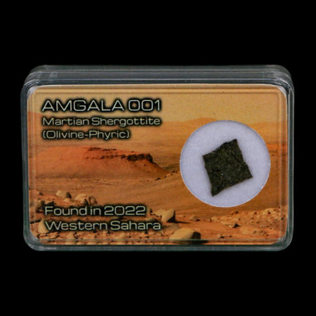 Mars Rock Martian Meteorite Amgala 001 Shergottite Olivine-Phyric Display