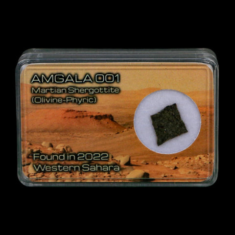 Mars Rock Martian Meteorite Amgala 001 Shergottite Olivine-Phyric Display - Fossil Age Minerals
