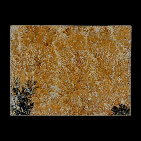 3.1" Pyrolusite Dendritic Sandstone Solnhofen Upper Jurassic Age West Germany - Fossil Age Minerals