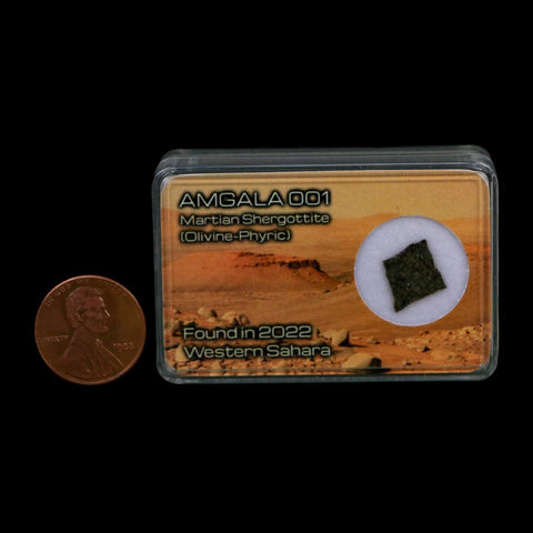 Mars Rock Martian Meteorite Amgala 001 Shergottite Olivine-Phyric Display - Fossil Age Minerals