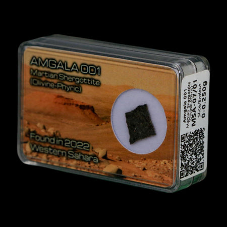 Mars Rock Martian Meteorite Amgala 001 Shergottite Olivine-Phyric Display