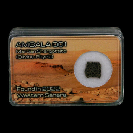 Mars Rock Martian Meteorite Amgala 001 Shergottite Olivine-Phyric Display
