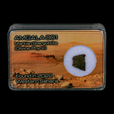 Mars Rock Martian Meteorite Amgala 001 Shergottite Olivine-Phyric Display - Fossil Age Minerals