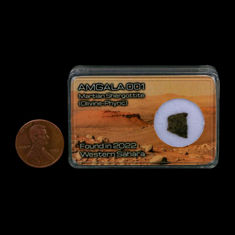 Mars Rock Martian Meteorite Amgala 001 Shergottite Olivine-Phyric Display - Fossil Age Minerals
