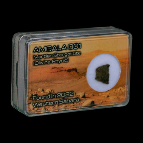 Mars Rock Martian Meteorite Amgala 001 Shergottite Olivine-Phyric Display - Fossil Age Minerals