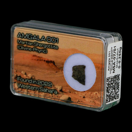 Mars Rock Martian Meteorite Amgala 001 Shergottite Olivine-Phyric Display