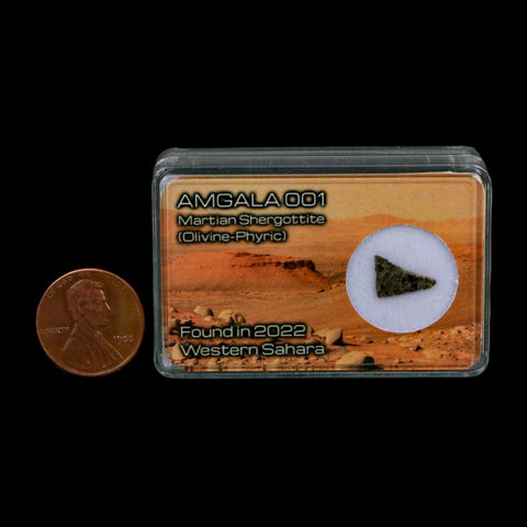 Mars Rock Martian Meteorite Amgala 001 Shergottite Olivine-Phyric Display - Fossil Age Minerals