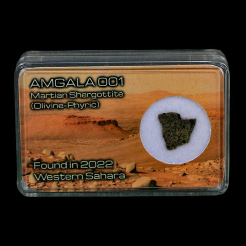 Mars Rock Martian Meteorite Amgala 001 Shergottite Olivine-Phyric Display - Fossil Age Minerals