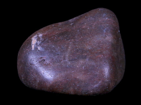 1.4" Sauropod Dinosaur Stomach Stone Gastrolith Rock Gizzard Stone COA - Fossil Age Minerals