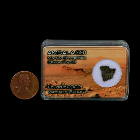 Mars Rock Martian Meteorite Amgala 001 Shergottite Olivine-Phyric Display - Fossil Age Minerals