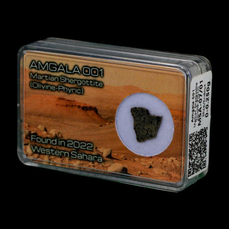 Mars Rock Martian Meteorite Amgala 001 Shergottite Olivine-Phyric Display