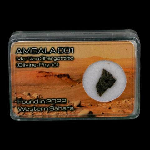 Mars Rock Martian Meteorite Amgala 001 Shergottite Olivine-Phyric Display - Fossil Age Minerals