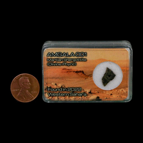 Mars Rock Martian Meteorite Amgala 001 Shergottite Olivine-Phyric Display - Fossil Age Minerals