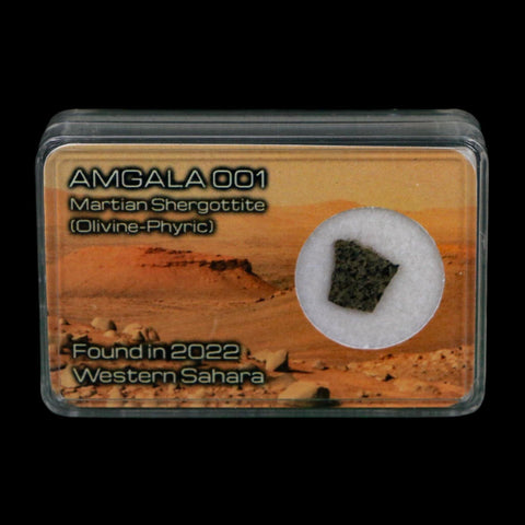 Mars Rock Martian Meteorite Amgala 001 Shergottite Olivine-Phyric Display - Fossil Age Minerals
