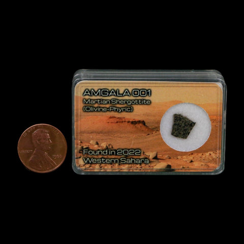 Mars Rock Martian Meteorite Amgala 001 Shergottite Olivine-Phyric Display - Fossil Age Minerals