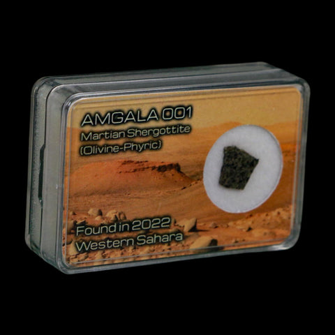 Mars Rock Martian Meteorite Amgala 001 Shergottite Olivine-Phyric Display - Fossil Age Minerals