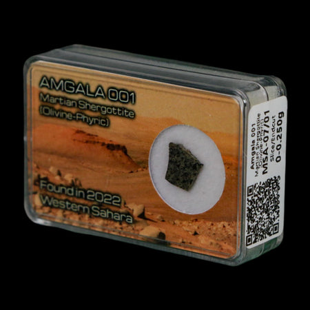 Mars Rock Martian Meteorite Amgala 001 Shergottite Olivine-Phyric Display