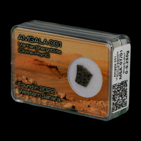 Mars Rock Martian Meteorite Amgala 001 Shergottite Olivine-Phyric Display - Fossil Age Minerals