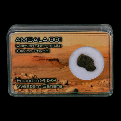 Mars Rock Martian Meteorite Amgala 001 Shergottite Olivine-Phyric Display - Fossil Age Minerals