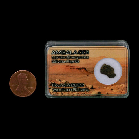 Mars Rock Martian Meteorite Amgala 001 Shergottite Olivine-Phyric Display - Fossil Age Minerals