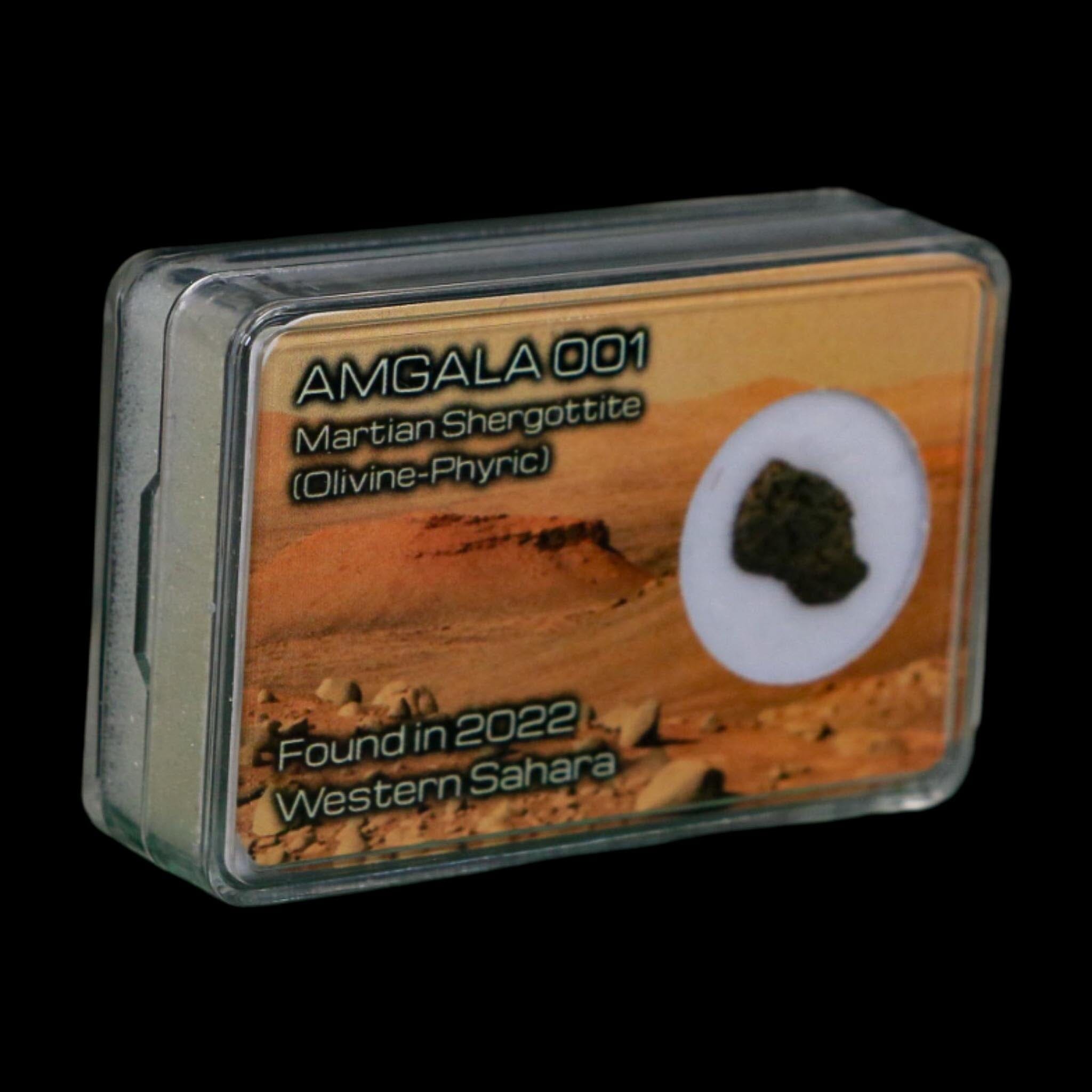 Mars Rock Martian Meteorite Amgala 001 Shergottite Olivine-Phyric Display - Fossil Age Minerals