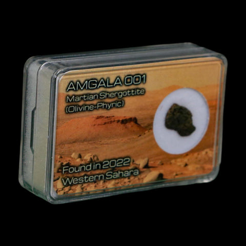 Mars Rock Martian Meteorite Amgala 001 Shergottite Olivine-Phyric Display - Fossil Age Minerals