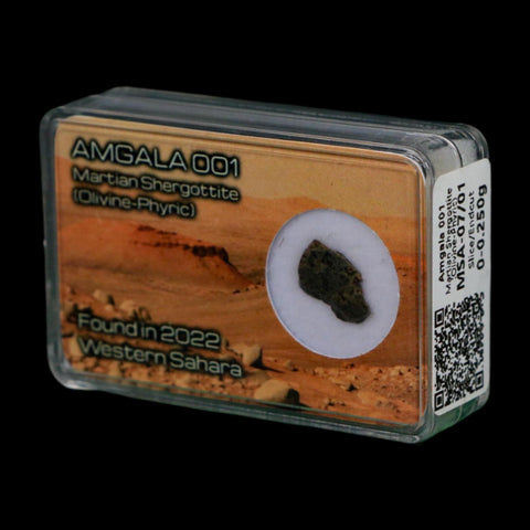 Mars Rock Martian Meteorite Amgala 001 Shergottite Olivine-Phyric Display - Fossil Age Minerals