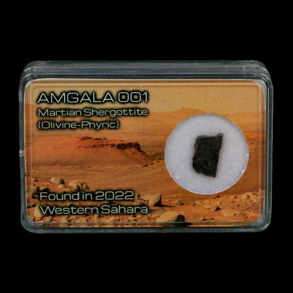 Mars Rock Martian Meteorite Amgala 001 Shergottite Olivine-Phyric Display